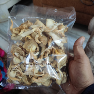 Dry Oyster Mushroom3