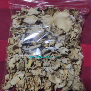 Dry Oyster Mushroom1