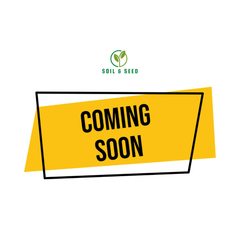 coming soon image