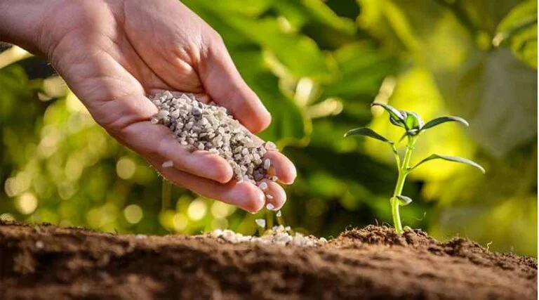 The Future of Farming: How Soil and Seed Is Empowering Agro-Entrepreneurs in India